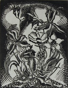 Image description is not available for DU1946.133